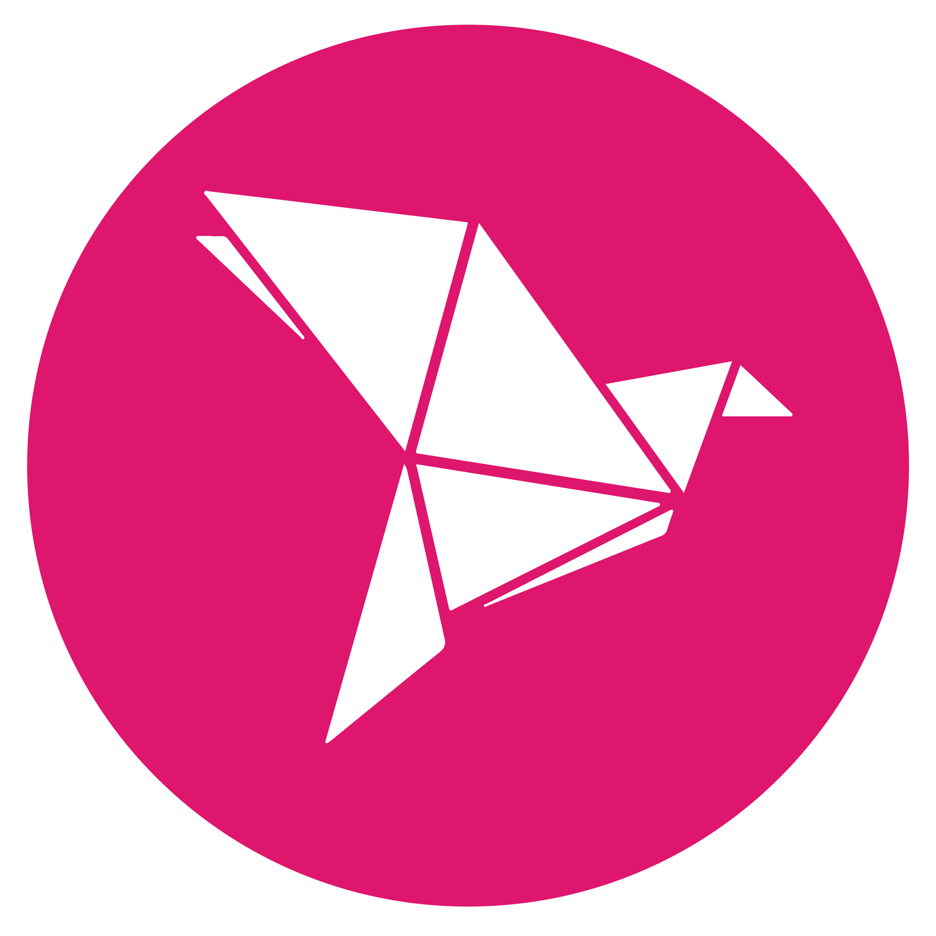 bKash Logo